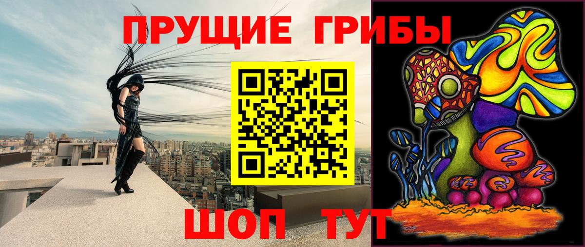 Галлюциногенные грибы прущие грибы Кыштым