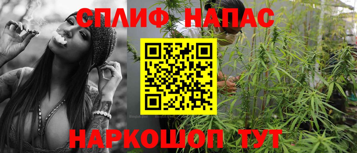 Конопля планчик Кыштым